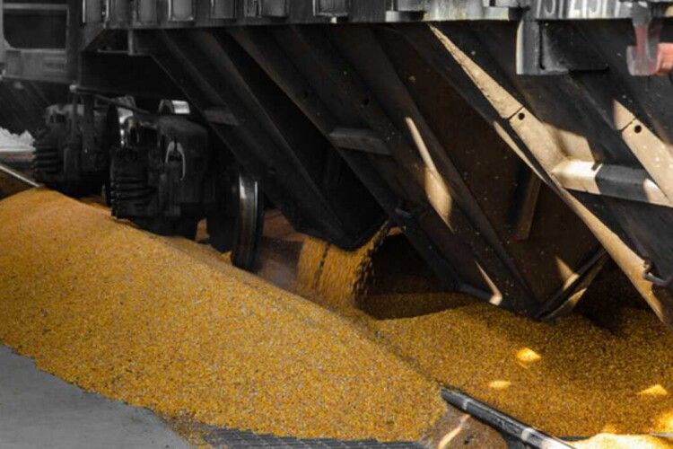 Канада готова надати свої кораблі, щоб Україна відновила експорт зерна