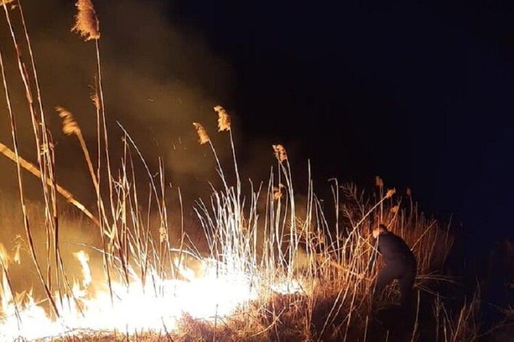 Згоріли пташині гнізда: у Сошичненській ОТГ молодики посеред ночі здійснили підпал відразу в чотирьох місцях (Фото. Відео)