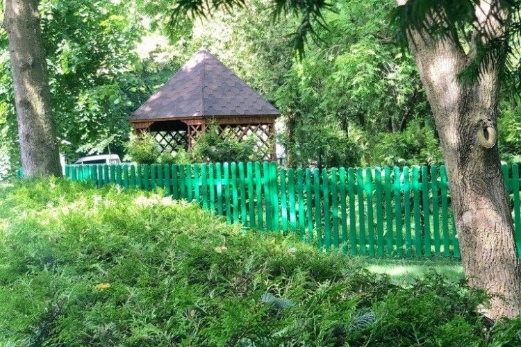Як лісівники Горохівщини бережуть унікальний «Сидоруків парк»