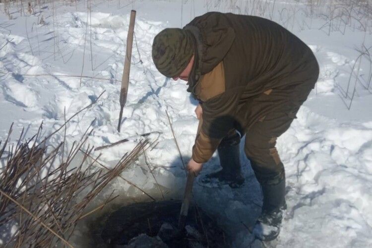 Щоб риба не задихнулась: у Шацькому національному парку рубають лунки на озерах