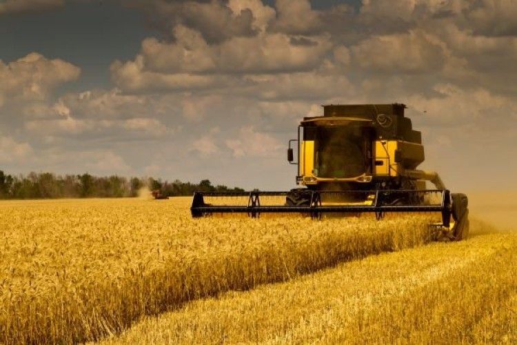 Завершення збору зернових культур на півдні України
