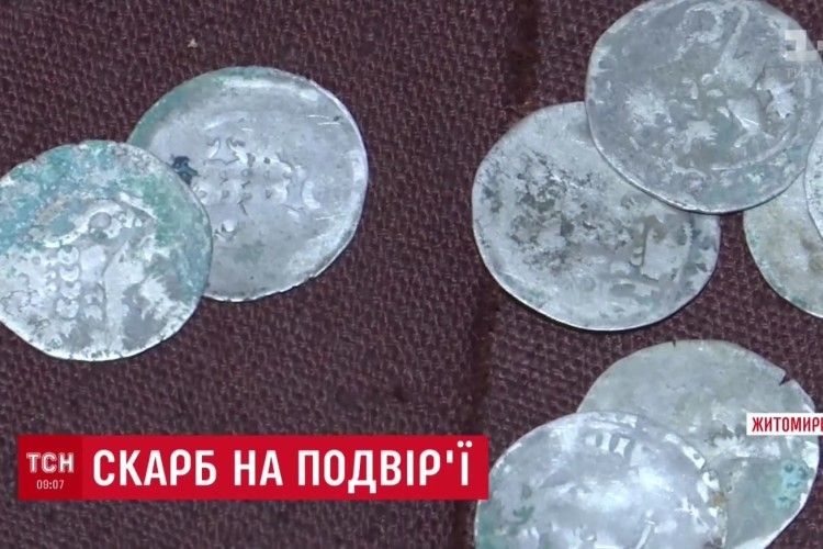 Подружжя пенсіонерів на Житомирщині знайшло скарб на власному городі