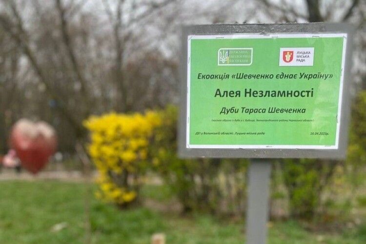 У Луцьку з’явилася «Алея незламності»