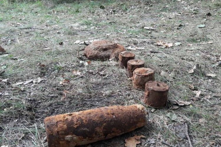 Великий «улов»: рятувальники Волині знешкодили 68 вибухонебезпечних предметів