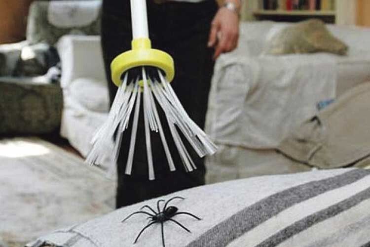 Щоб позбутися павуків у домі!