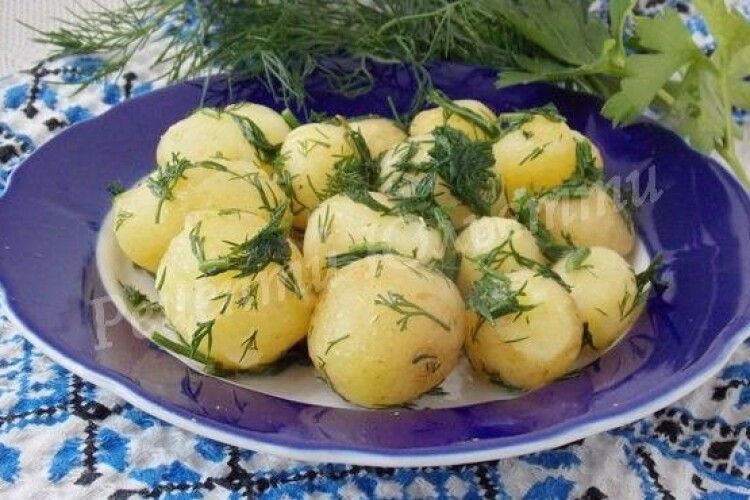 В Україні молода картопля може залишитися на полях