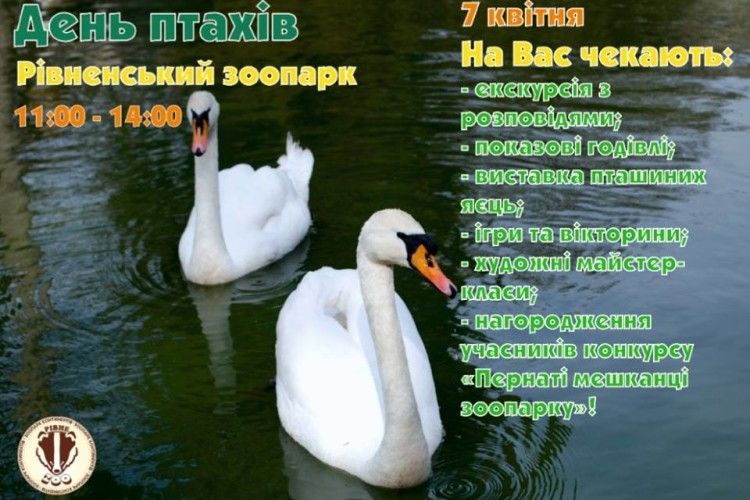 Цієї неділі рівнян кличуть на виставку яєць