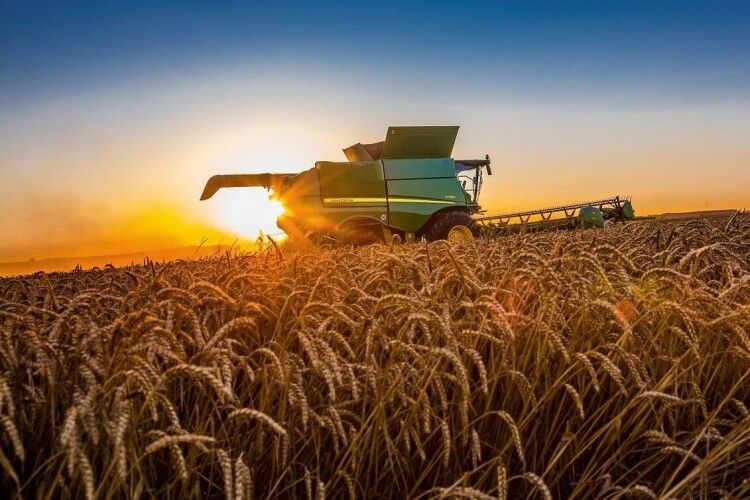 Сільське господарство Волині просіло на 5 відсотків