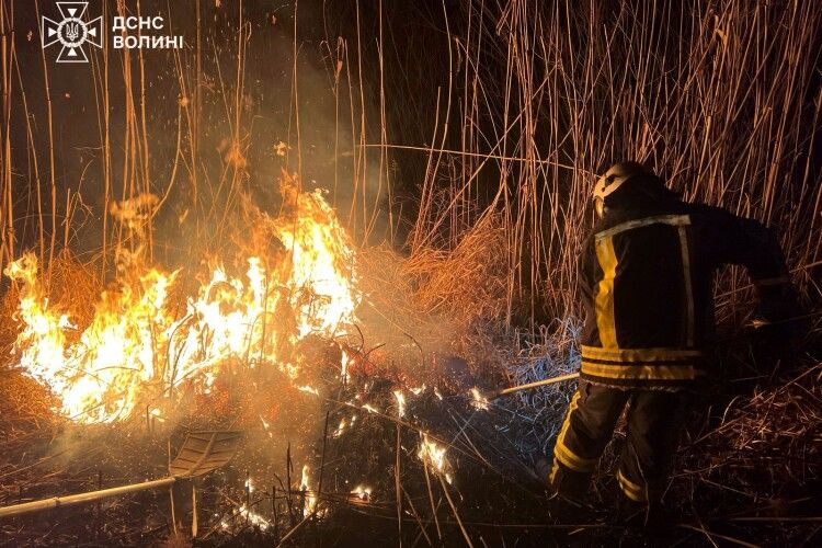 На Волині за підпал сухої трави оштрафували двох порушників