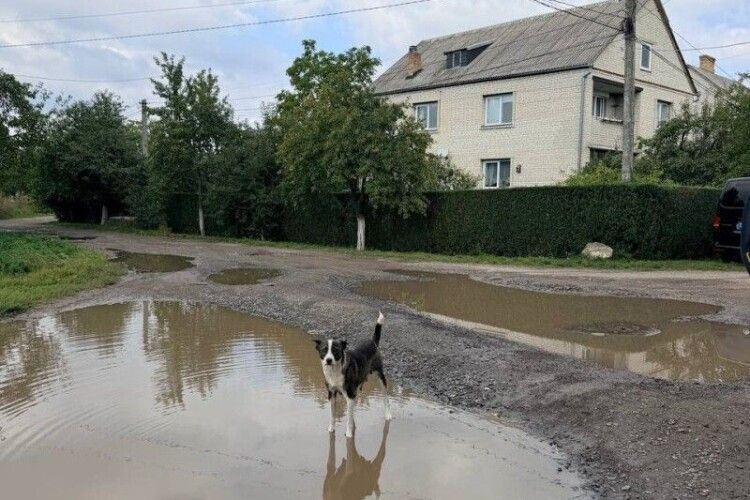 У Луцьку є вулиця, куди навіть таксі відмовляється їхати