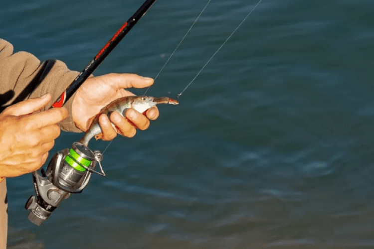 Риболовля як терапія: у Луцькому районі організували особливий відпочинок для захисників