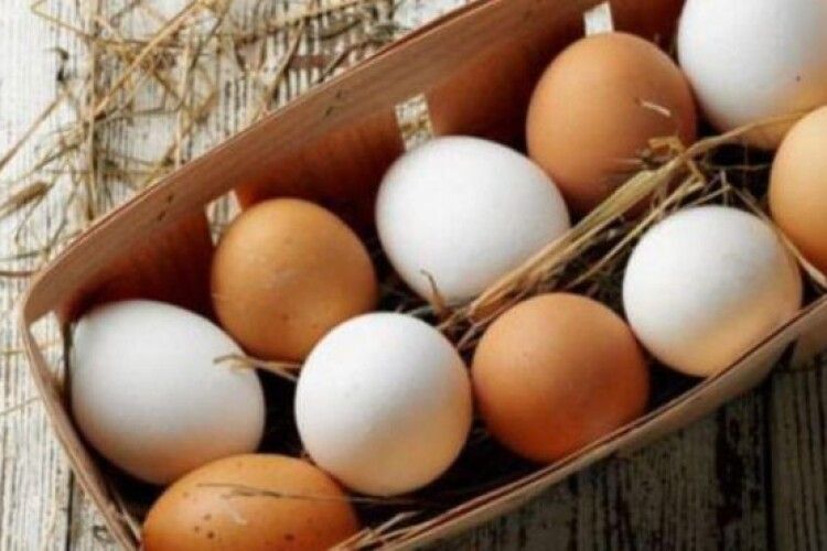Магазинні яйця невдовзі будуть по 40 гривень за десяток