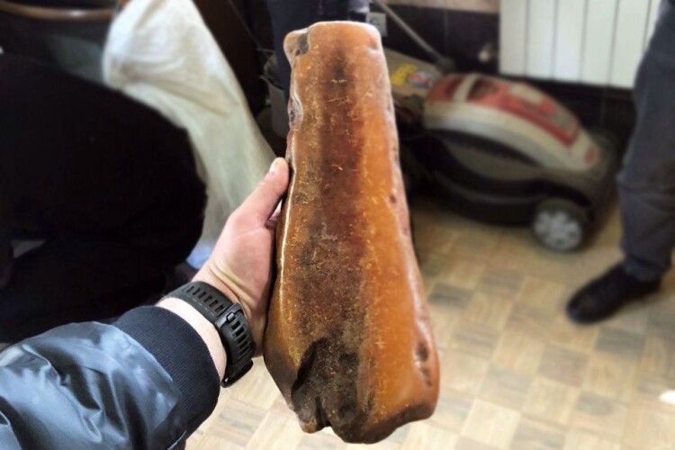 Величезні каменюки бурштину: на Рівненщині чоловік зберігав у гаражі скарб на сім мільйонів гривень