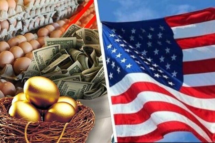 США просять у Данії... курячих яєць