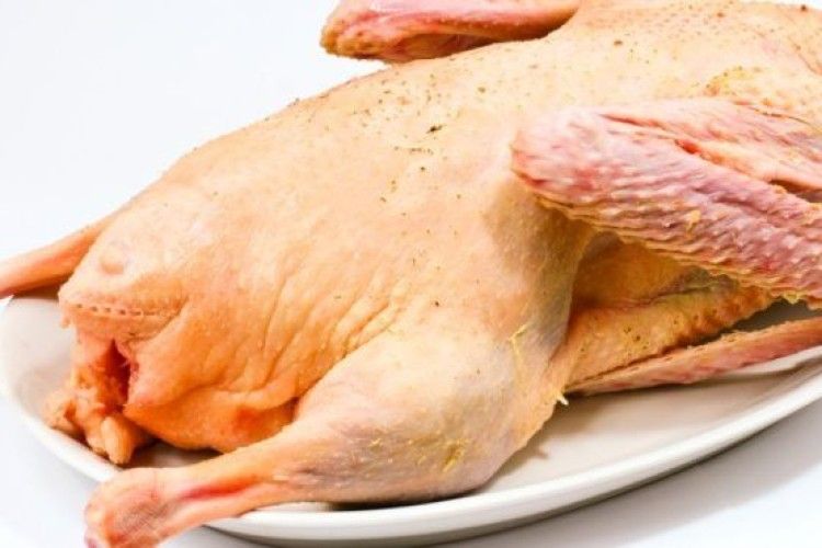 Рівненське господарство планує експортувати гусяче м’ясо до Європи