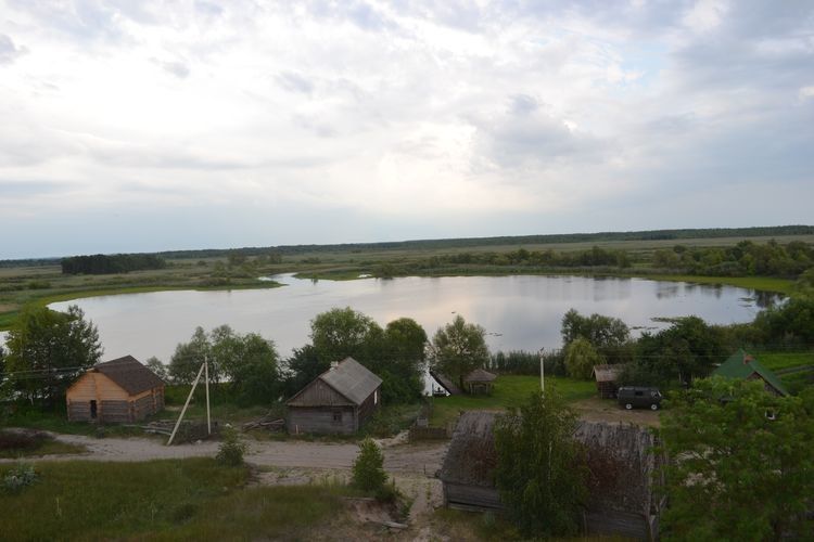 Виставка художніх полотен відкрилася у Любешові