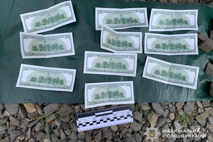 1000 доларів за тиждень: на Закарпатті мати здавала малечу в «оренду» для жебракування