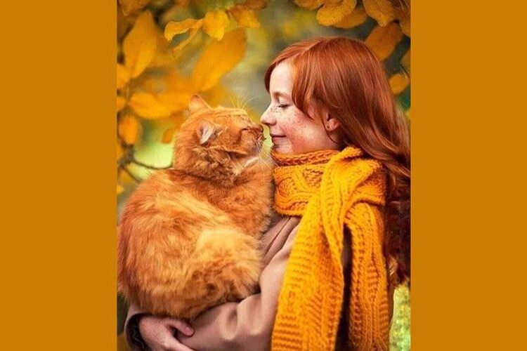 «Почуття, загорнуті в слова – подарунок не для всіх…». Тепла істоіря на вечір