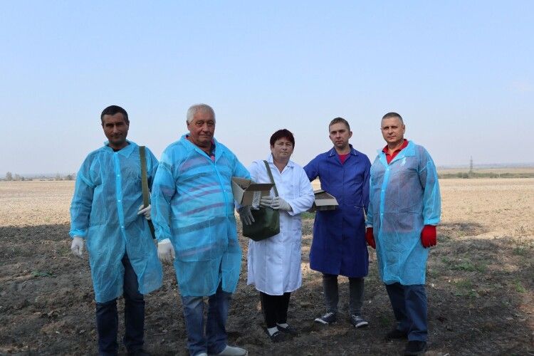 На Волині триває осіння кампанія вакцинації диких м'ясоїдних тварин