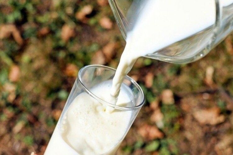 Україна отримала дозвіл на експорт молочної продукції в Японію