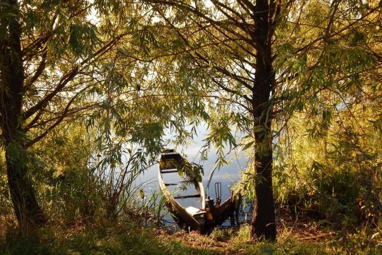 Показали осінню красу Національного парку «Прип’ять-Стохід» (Фото)