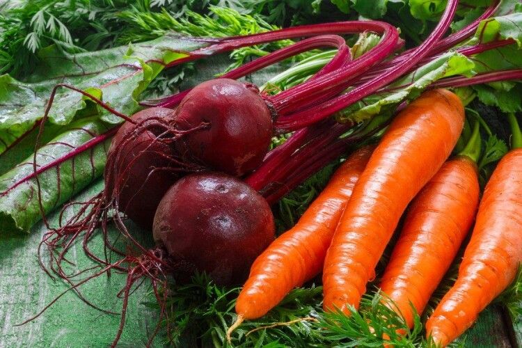 В Україні стрімко дешевшають буряки та морква