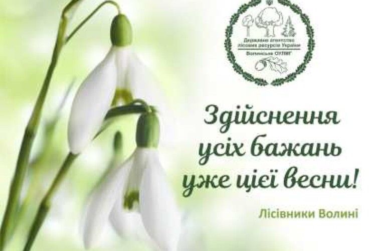 Що побажали панянкам лісівники Волині