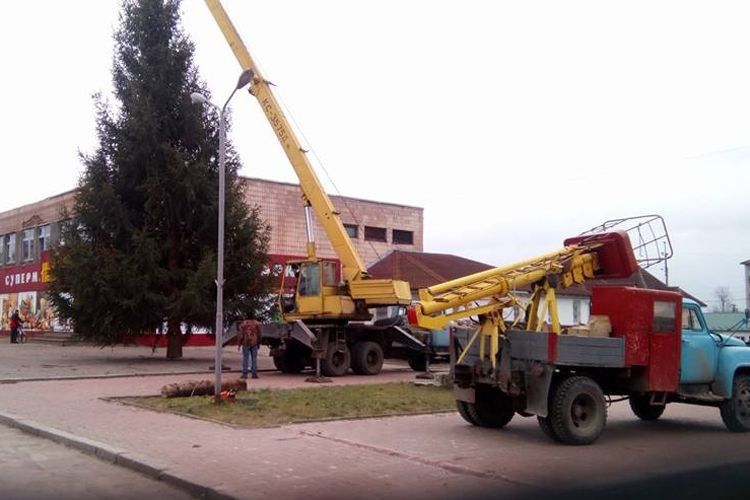 У Старій Вижівці встановили новорічну ялинку (Фото)