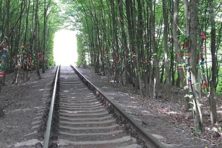  Тунель кохання облаштують для туристів
