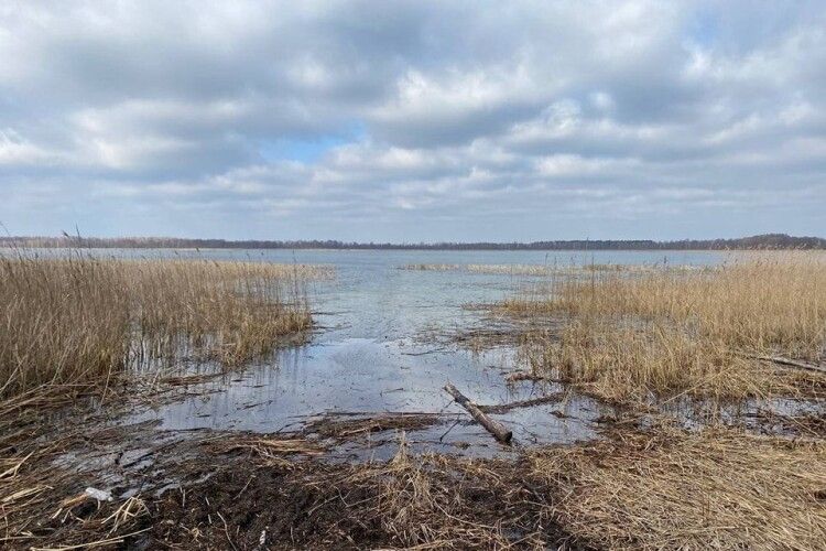 Весняне обстеження каналів у нацпарку на Волині: який стан водної системи (Фото)