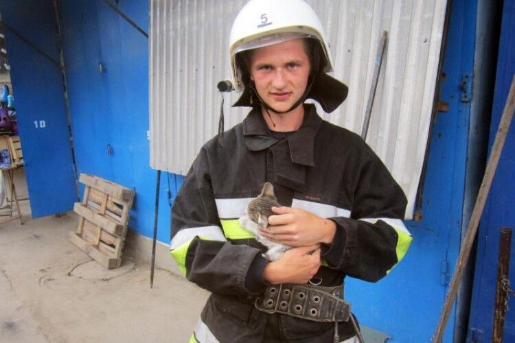 Бійці ДСНС врятували кошеня, яке застрягло між торговельними кіосками