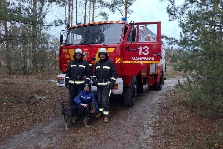 У селі на Волині тварина потрапила у глибоку пастку (Фото)