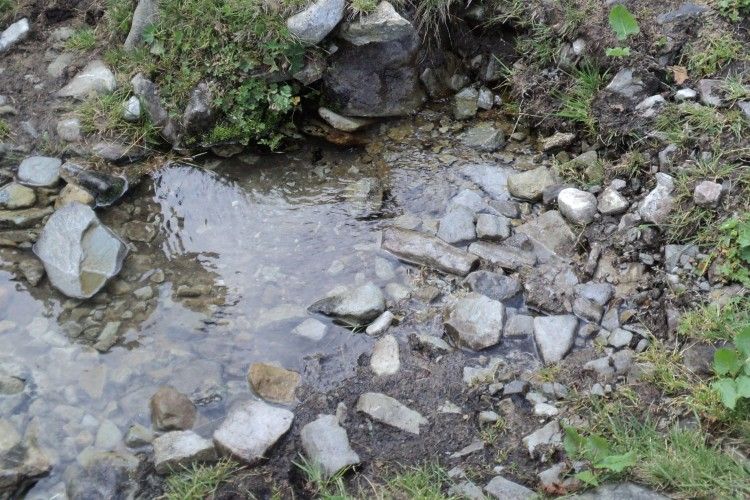Вода з природного джерела у райцентрі на Рівненщині непридатна до споживання
