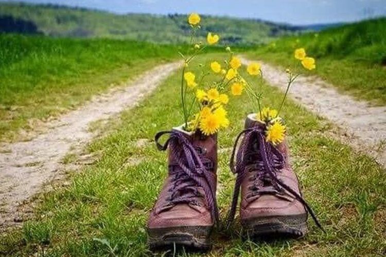 Букет сонячних квіток  у зношених черевиках. Історія на вечір