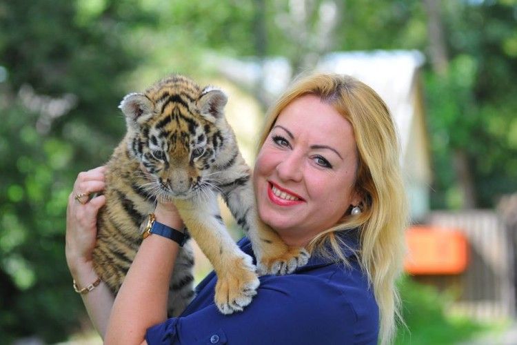 Тигричка Тріша з Луцького зоопарку вже «наїла» 10 кг живої ваги 