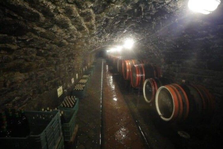 Фермер виробляє вина у винарнях, яким вже 400 років