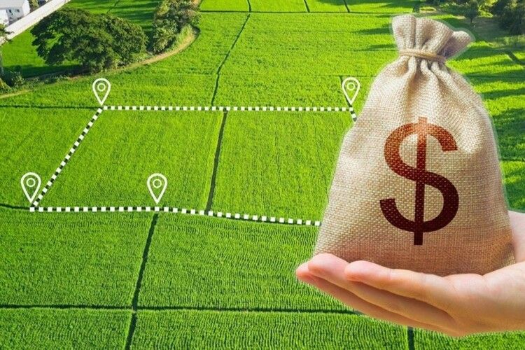 Волинь – п’ята у рейтингу найдорожчої землі в Україні