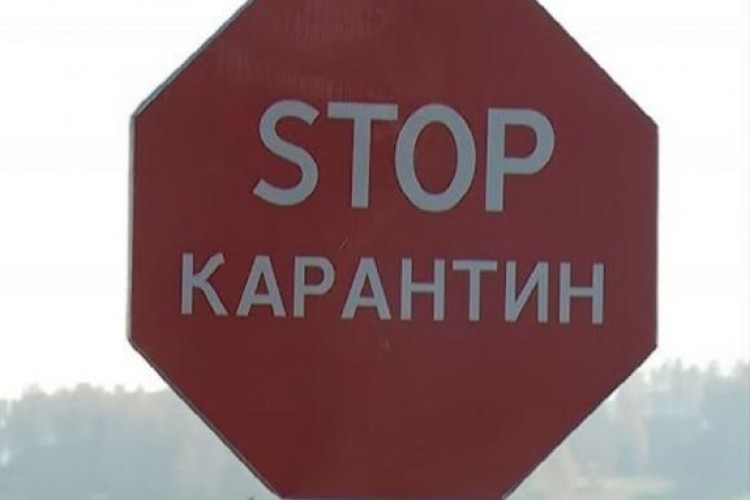 Через спалах сибірки село закрили на карантин до 28 жовтня