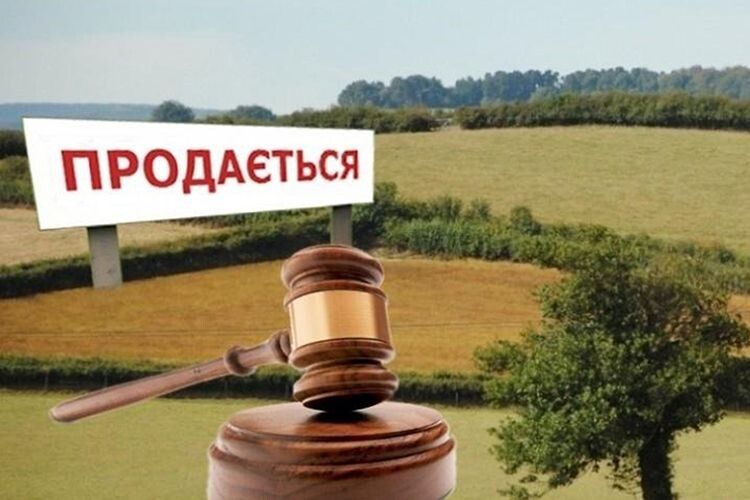 Які загрози принесе  українцям дозвіл  на продаж землі іноземцям
