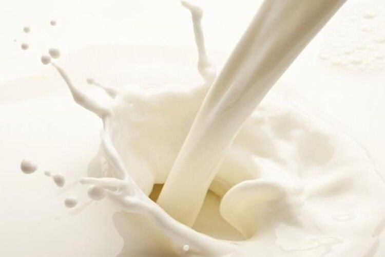 Закупівельні ціни на молоко в Україні на чверть вищі, ніж у ЄС