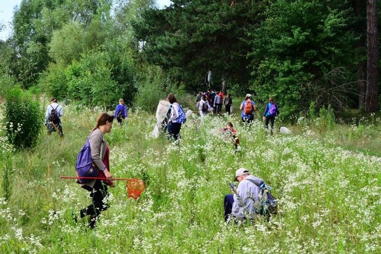 В урочищі «Папики» провели комплексне наукове дослідження флори