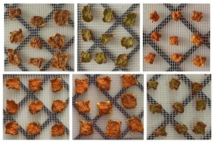 Студенти Луцького НТУ створили рецептуру смачнющих фрипсів з насінням льону (Фото)