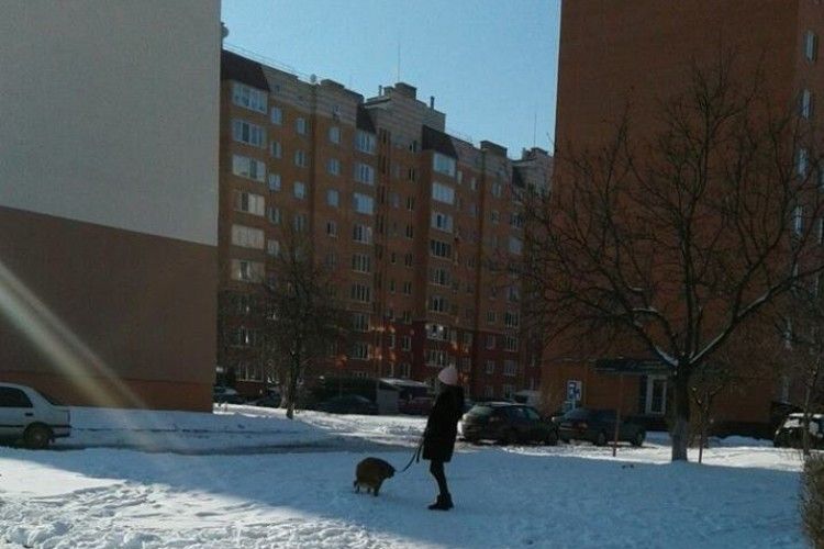 Луцькі муніципали на сторожі чистоти: любиш пса – люби й прибрати за ним