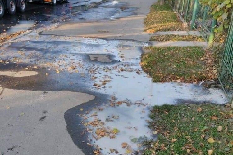 Лучанку, яка зливала нечистоти на вулицю, змусили прибрати тротуар