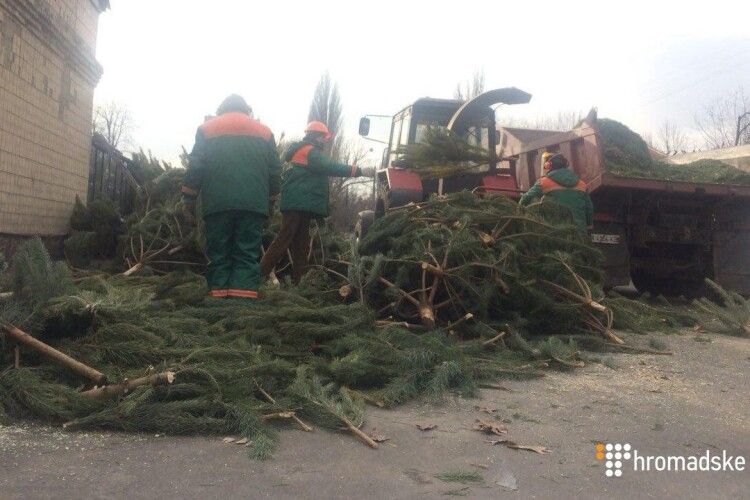 У Києві переробляють новорічні ялинки 