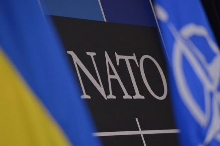 Члени Парламентської асамблеї НАТО звинувачують Росію у порушенні прав людини на Донбасі