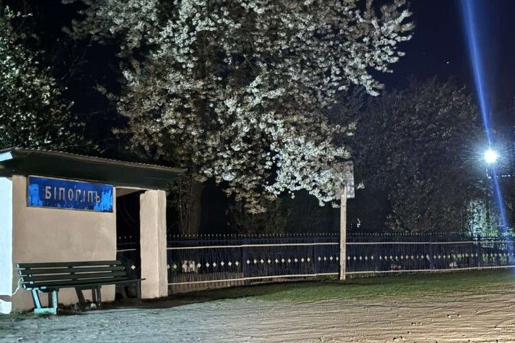 У волинському селі оновили вуличне освітлення