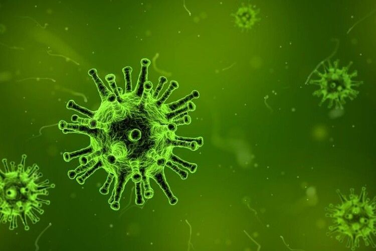 В Україні зафіксовано 2141 новий випадок коронавірусної хвороби