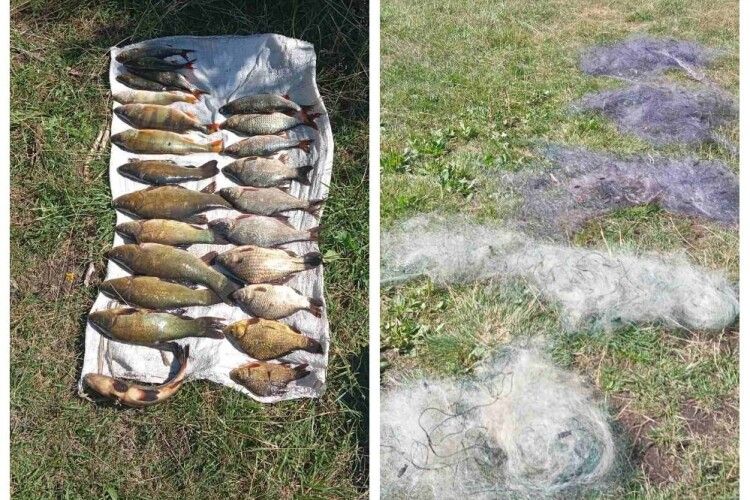 На Волині затримали браконьєра із «золотим» уловом