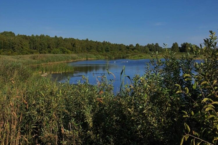 Кого зустріли волинські природоохоронці під час польового виїзду (Фото)